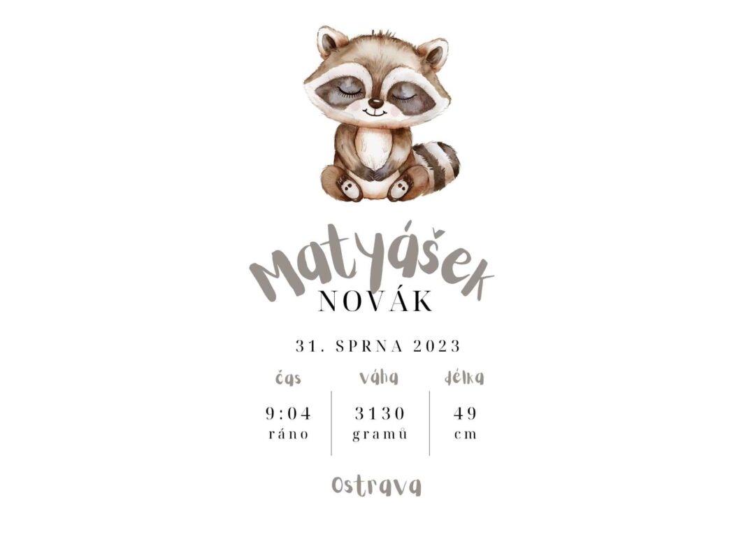 Plakát k narození - Mýval