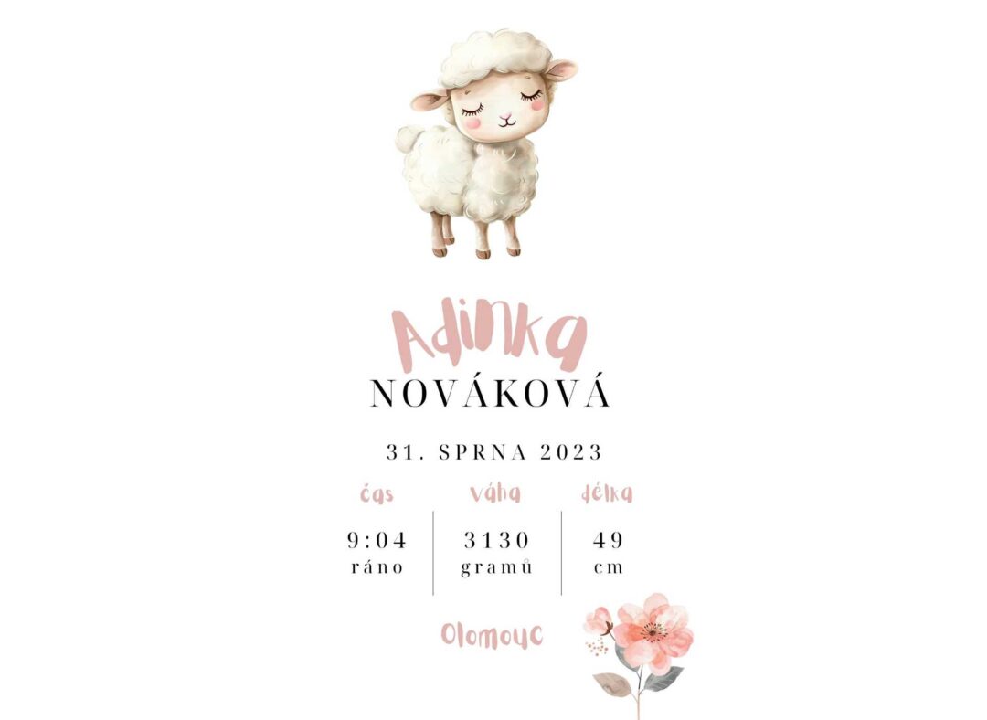 Plakát k narození - Ovečka