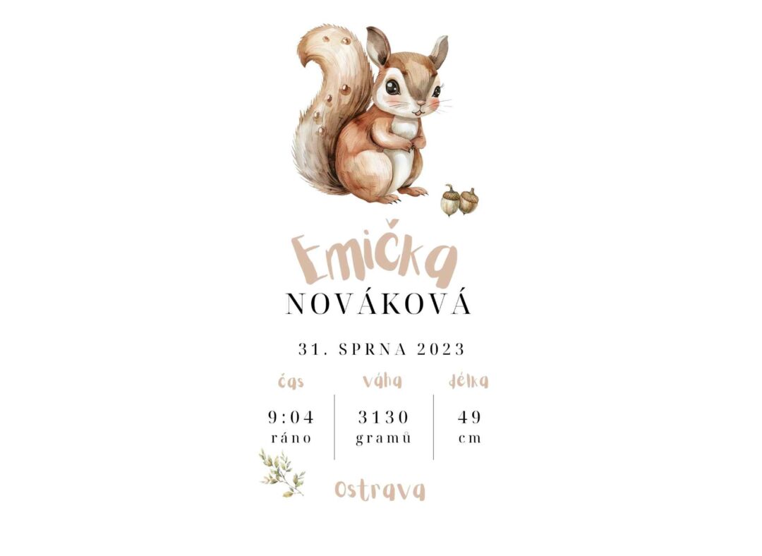 Plakát k narození - Veverka