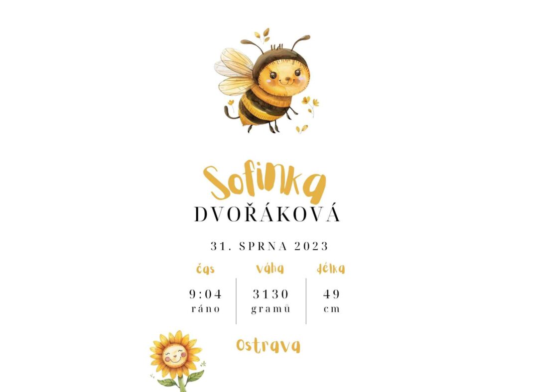plakat k narozeni miminka - včelka